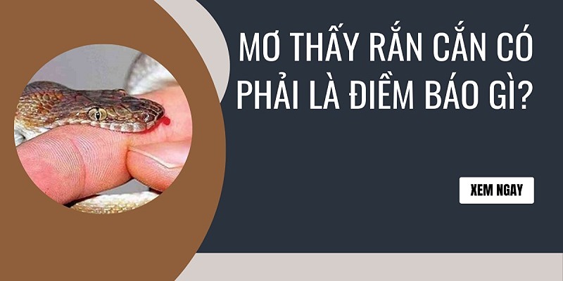 Nằm mơ thấy rắn là điềm gì - giải mã giấc mộng về rắn trắng